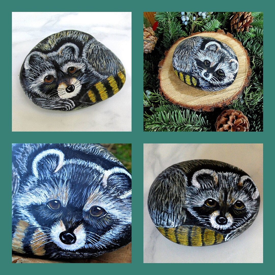 Raccoon Stone Paintings Hand Painted Rocks Raccoon Art Etsy
