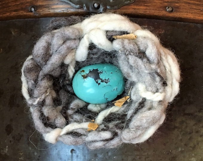 Turquoise Egg in Wool Nest