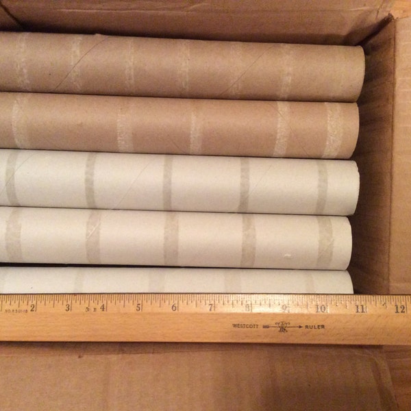 10 Paper towel tubes for arts & craft or summer camp projects, or to help start garden plants