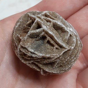 Desert Rose - Desert Roses - Gypsum Rose - Desert Rose Gypsum - Rose Gypsum