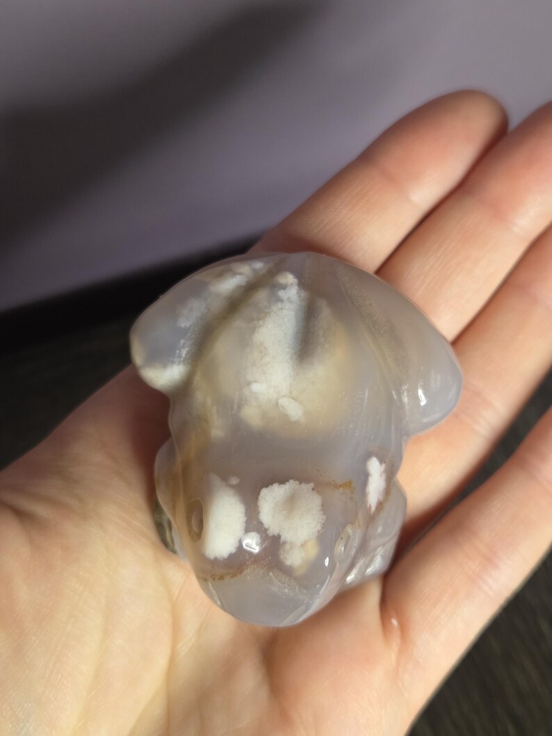 Flower Agate Frog - Crystal Frog - Frog Crystal - Frog Crystals - Flower Agate - Crystal Frog Figurine - Crystal Frog Figurines image 5