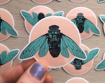CICADA STICKER