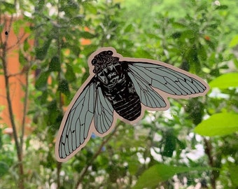 Cicada static window cling