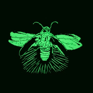 Glow-in-the-dark-sticker Firefly • verlichtingsbug
