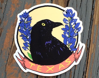 Texas Bluebonnet and Grackle Die-cut Sticker