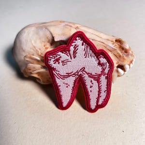 May include: Embroidered patch with a tooth design, red border, and white interior. The patch is set against a beige animal skull, offering a contrast of textures and colours.