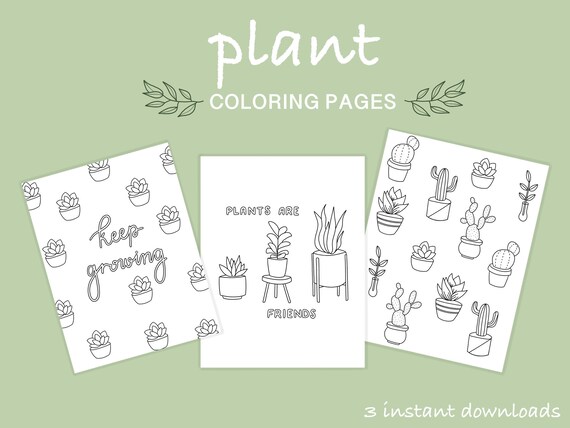 Plant Coloring Page Pack Digital Download Coloring Sheet | Etsy