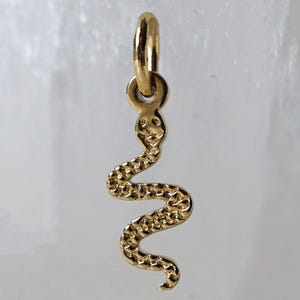 Pode incluir: Um pingente de cobra em metal dourado com um corpo texturizado de escamas e uma cabeça lisa e arredondada. O pingente inclui um anel circular no topo para fixação, com um acabamento polido que reflete a luz em sua forma sinuosa.