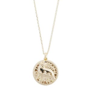 Chinese Zodiac Coin Necklace - Pig in Gold, Silver, Rose Gold | Dainty Minimalist Everyday Gift Jewelry |  Honeycat