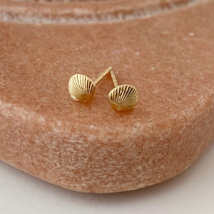 Mini snäckskalörhängen i guld, silver, roséguld | Eleganta minimalistiska vardagsgåvosmycken | Honeycat