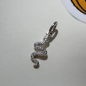 Puede incluir: Un colgante de metal plateado con forma de pequeña serpiente sinuosa. El cuerpo de la serpiente presenta una superficie texturizada y brillante con un acabado metálico y una pequeña anilla circular en la parte superior para colgar.