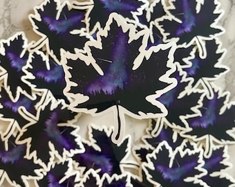 Liść klonu kanadyjskiego Northern Lights Purple