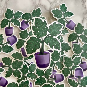 Monstera Plant Sticker