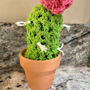 May include: A green crocheted cactus with a pink crocheted flower on top, sitting in a terracotta pot.