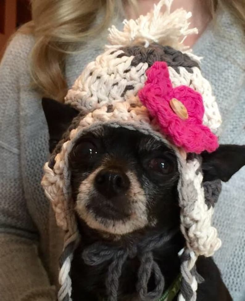 Gehäkelte Mütze für Hunde kleine HundeKleidung Chihuahua Etsy