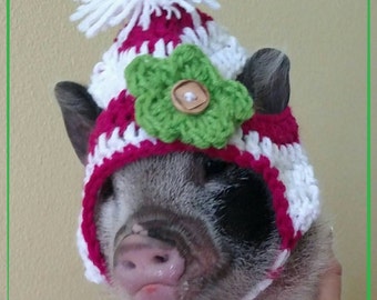 Crochet hat for mini pigs, small pet clothing, chihuahua hats, small dog hats, hats for pigs, pet clothes, small animal clothing, photo prop