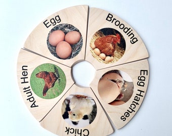 Chick life cycle inserts, life cycle, wooden inserts, Montessori materials