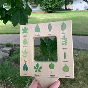 Nature Guide Finder, Leaf Finder, Cloud Viewer, Cloud Identification ...