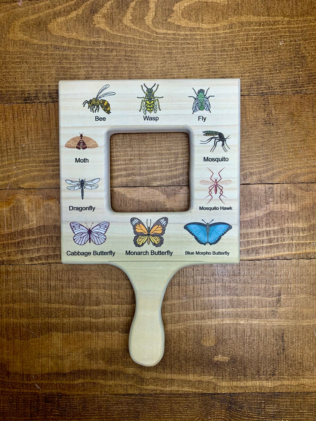 Nature Guide Finder, Insect and Bug Identifier, Bug Finder, Hand Held ...