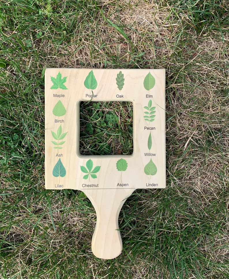 Nature guide finder, leaf finder, cloud viewer, cloud identification guide, nature guide frame, homeschooling materials, Montessori toy image 2