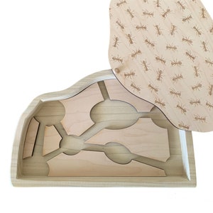 May include: A wooden box with a hinged lid. The lid is decorated with a pattern of ants. The box has a cutout design inside.