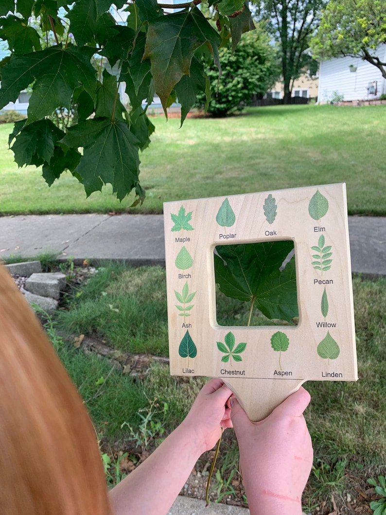 Buscador de guías de naturaleza, buscador de hojas, visor de nubes, guía de identificación de nubes, marco de guía de naturaleza, materiales de educación en el hogar, juguete Montessori imagen 5