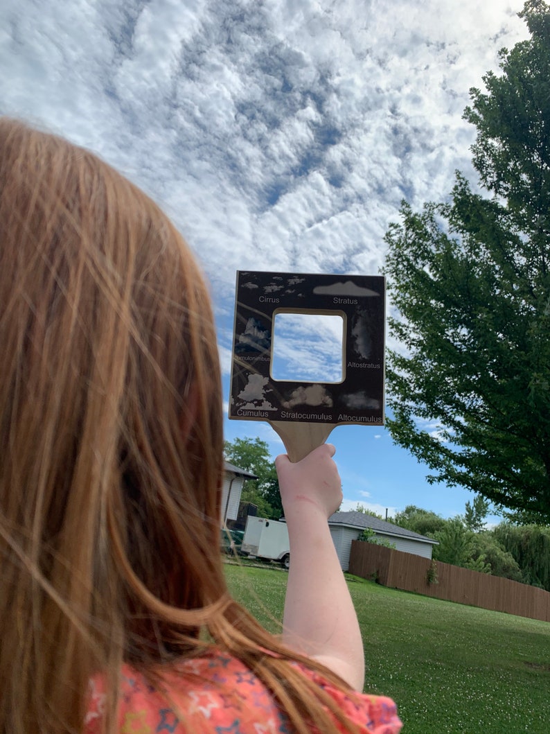 Buscador de guías de naturaleza, buscador de hojas, visor de nubes, guía de identificación de nubes, marco de guía de naturaleza, materiales de educación en el hogar, juguete Montessori imagen 10