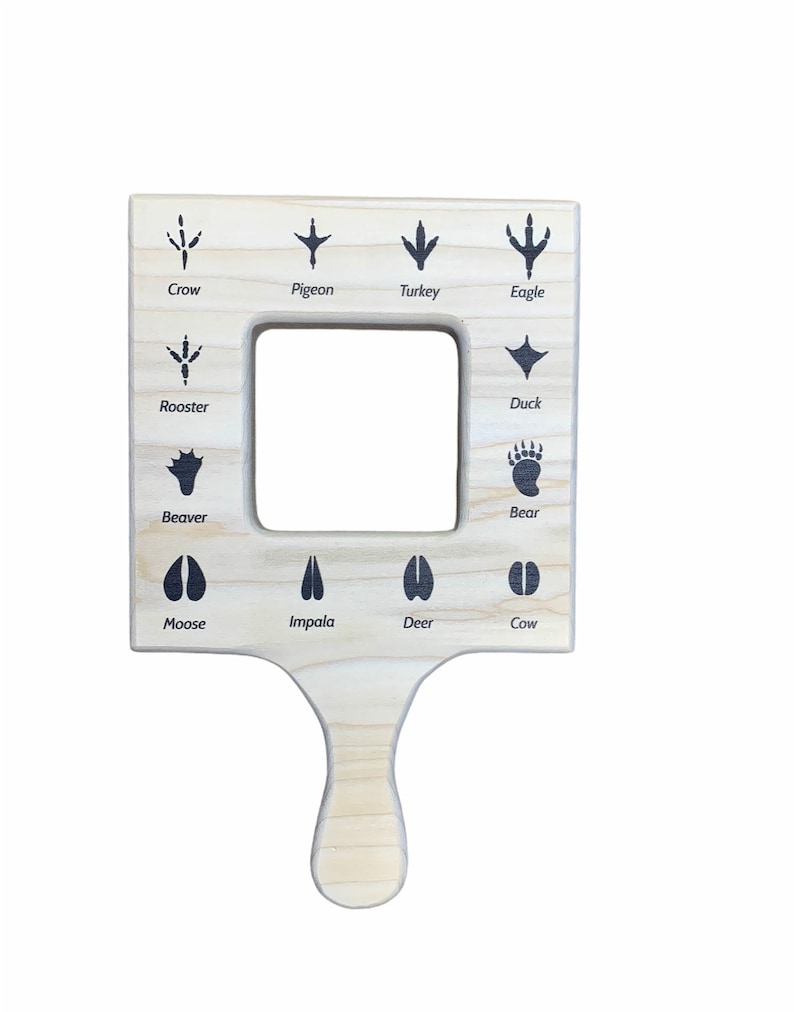 3 Nature Guide Finder, Leaf Finder, Cloud Viewer, Cloud Identification ...