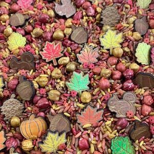May include: A bowl filled with a sensory bin for kids. The bin contains red, gold, and brown rice, along with wooden cutouts of leaves, acorns, pumpkins, and squirrels.