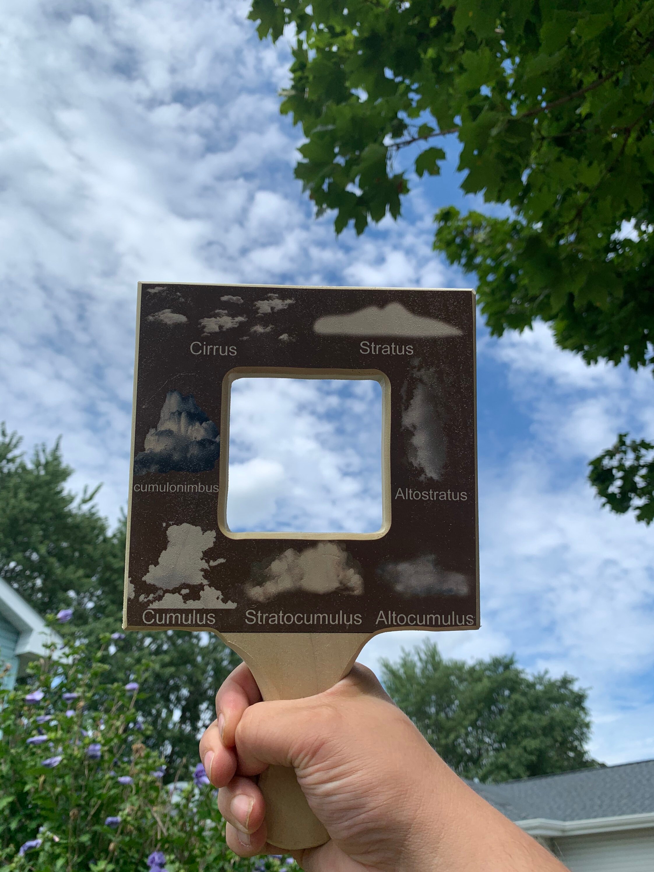 Nature Guide Finder Leaf Finder Cloud Viewer Cloud - Etsy Canada