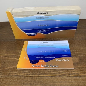 May include: A colorful diagram showing the different zones of the ocean, including the sunlight zone, twilight zone, midnight zone, and abyss zone. The diagram also includes the depths of each zone in meters.