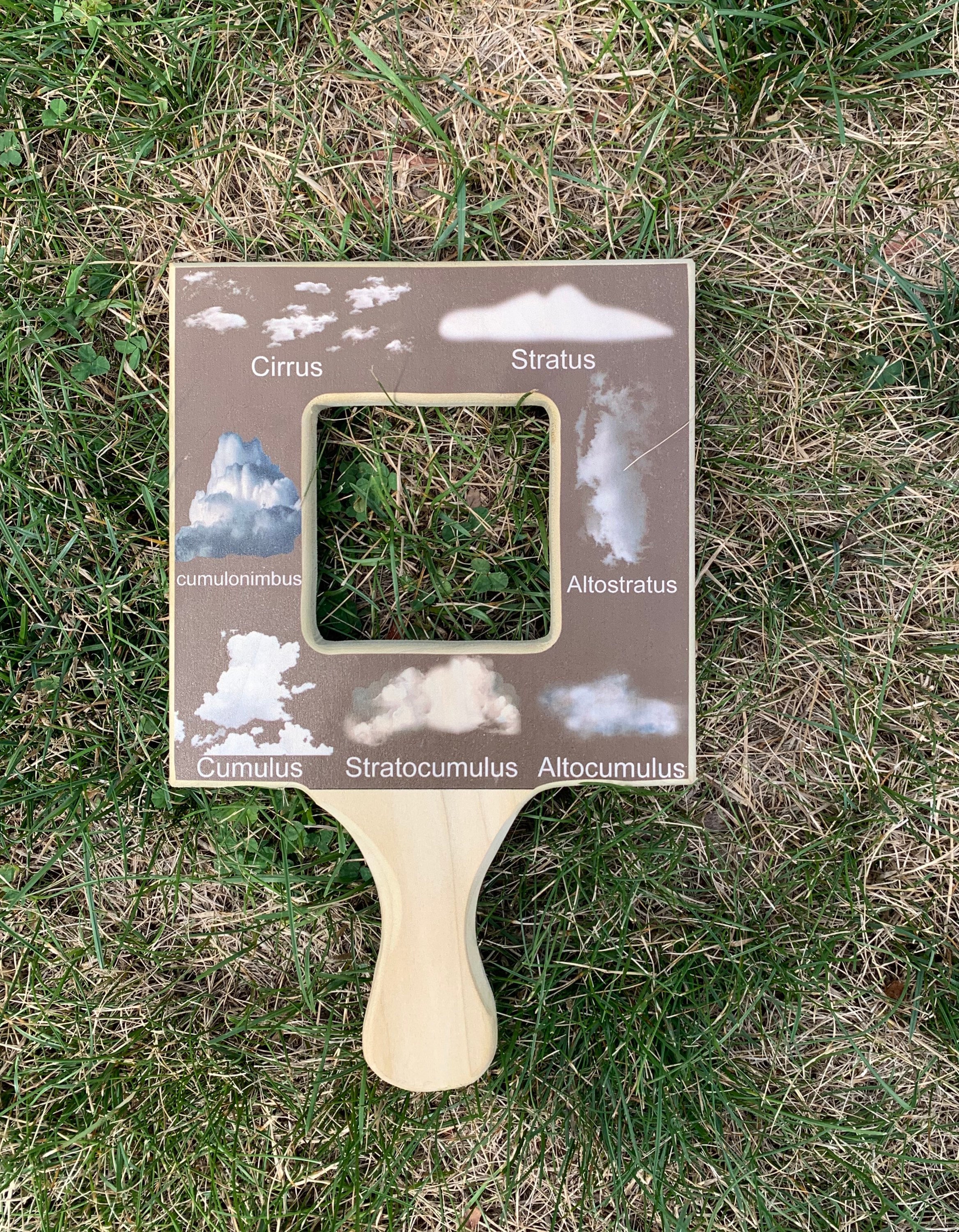 Nature Guide Finder, Leaf Finder, Cloud Viewer, Cloud Identification ...