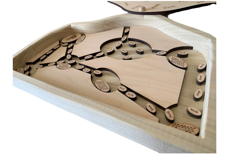 Interactive Ant Learning Unit Learn About Ants Ant Colony - Etsy