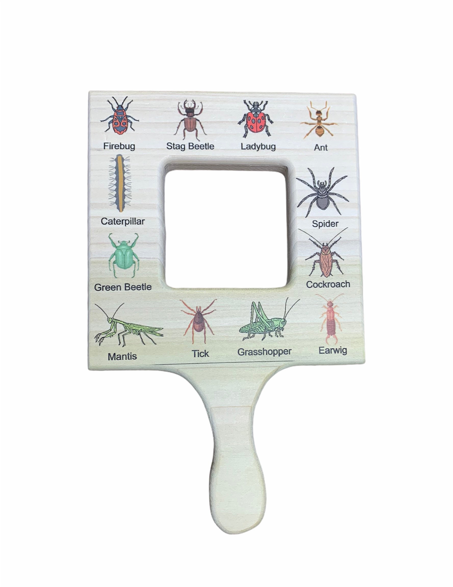 3 Nature Guide Finder, Leaf Finder, Cloud Viewer, Cloud Identification ...