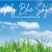 Owner of <a href='https://www.etsy.com/shop/MyBlueSkyCo?ref=l2-about-shopname&from_page=listing' class='wt-text-link'>MyBlueSkyCo</a>