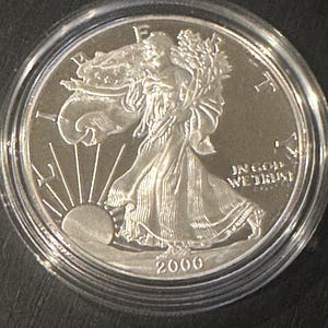 Liberty one dollar coin 2000 - Etsy 日本