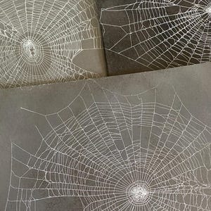 May include: Three square black prints featuring white spider web illustrations. Each print displays a detailed, intricate web pattern radiating from a central point, with varying web structures and gaps across the three distinct designs.