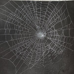 Puede incluir: Una hoja de papel cuadrada de color negro con un diseño de telaraña blanca. La red consta de un punto central con líneas radiantes y hilos circulares concéntricos que se extienden hacia los bordes del papel, creando un patrón geométrico.