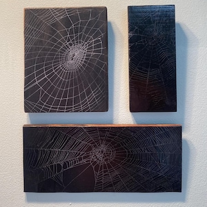 ORB WEAVER WEB - Preserved Hand Mounted Spider Web on Hardwood Panel