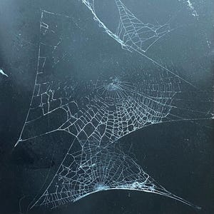 Może przedstawiać: Ciemna, matowa powierzchnia z trzema wyraźnymi, białymi, skomplikowanymi wzorami pajęczyn. Pajęczyny są ułożone pionowo, każda z nich posiada centralny punkt z promienistymi nitkami i koncentrycznymi strukturami na czarnym tle.