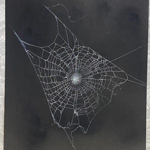 Op de afbeelding: Een witte spinnenwebillustratie gecentreerd op een effen zwarte rechthoekige achtergrond. Het web heeft een gedetailleerd radiaal patroon met concentrische cirkels en stralende lijnen die zich uitstrekken naar de randen van het oppervlak.