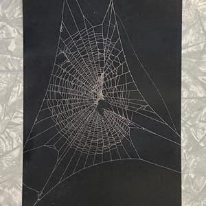 May include: A rectangular black print featuring a detailed white spider web design. The web displays a complex, circular pattern of radiating threads and concentric rings, centred on a dark, irregular shape against the solid black background.