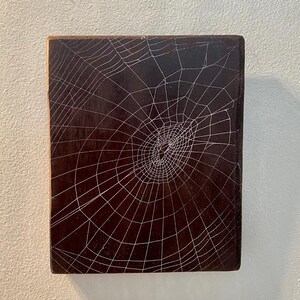 ORB WEAVER WEB - Preserved Hand Mounted Spider Web on Hardwood Panel