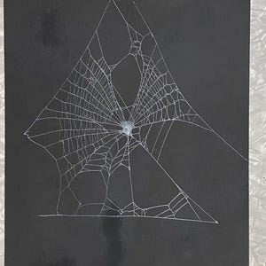 May include: A white spider web illustration centred on a solid black rectangular background. The web features a complex network of fine, interconnected radial and circular silk threads that extend outwards from a dense, textured central point.