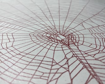 AUTHENTIC Orb Weaver Spider Web - Preserved Spider Web for Craft or