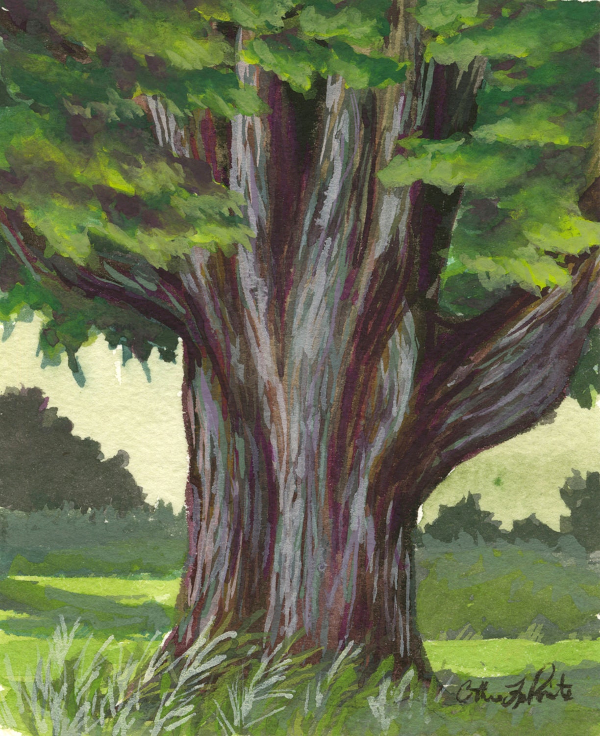 tree trunk painting