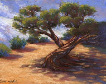 Windswept Tree National Park Pastel | Original Colorado Black Canyon of the Gunnison Painting