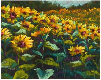 Lámina artística Campo de girasoles