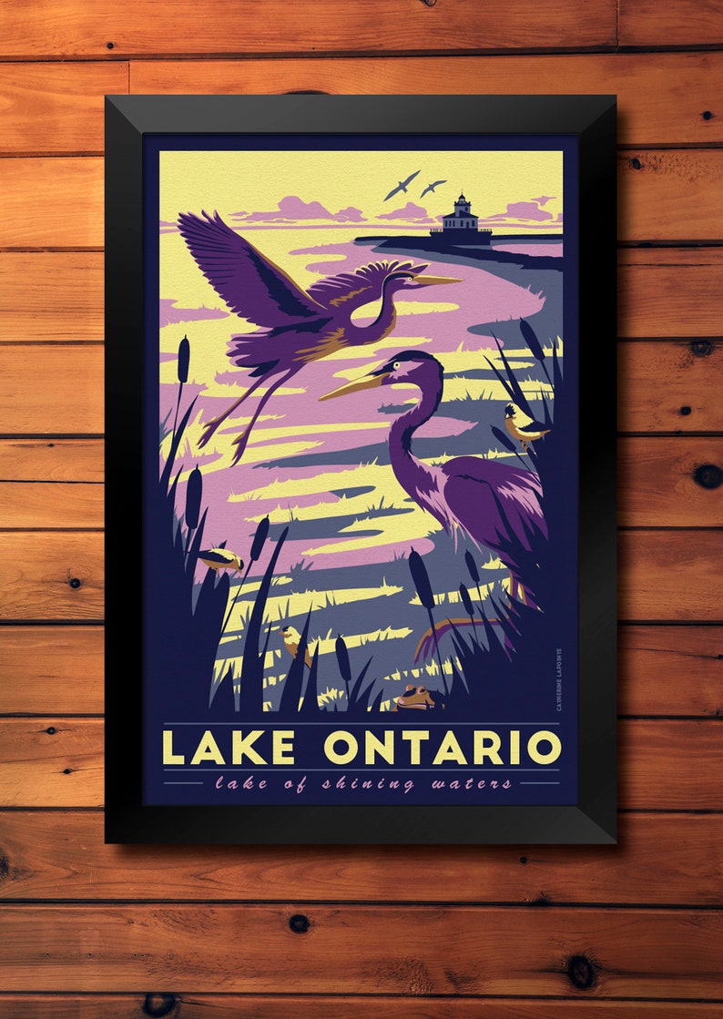 Lake Ontario Vintage Travel Poster Blue Heron, Gold Finches, Wildlife Lighthouse Art Print image 1