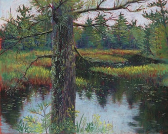 Adirondack Barnum Brook Marsh Art Print | Plein Air Tree Pastel | Paul Smiths VIC